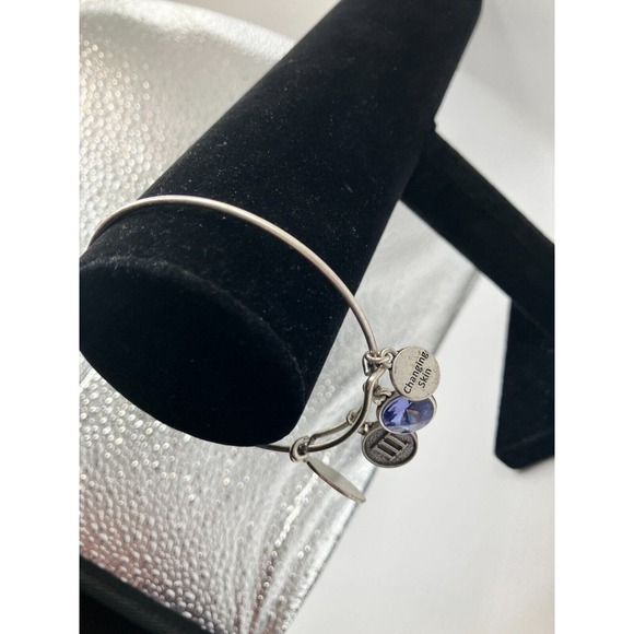 Rodan + Fields Charm Silver-Tone Bangle Bracelet! - Picture 5 of 15